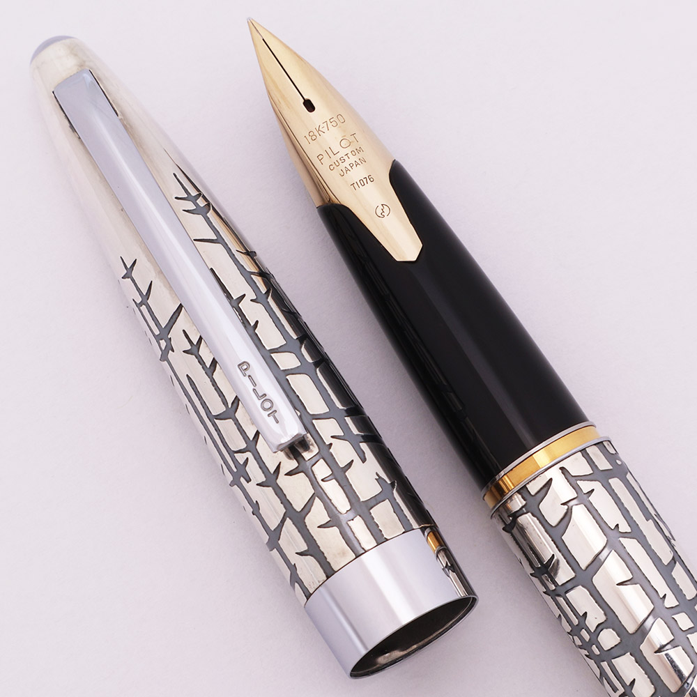 Pilot Art Craft Silvern Fountain Pen (1969) - 