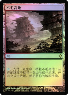 MTG 乾燥台地 日本語版 4枚セット MTG 乾燥台地 日本語、4枚セット MTG