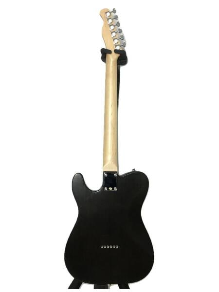 Bacchus テレキャスター YTM-500R