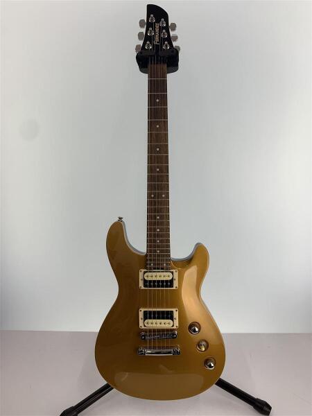 にゃん吉様専用】FERNANDES USA APG-100 24フレット仕様