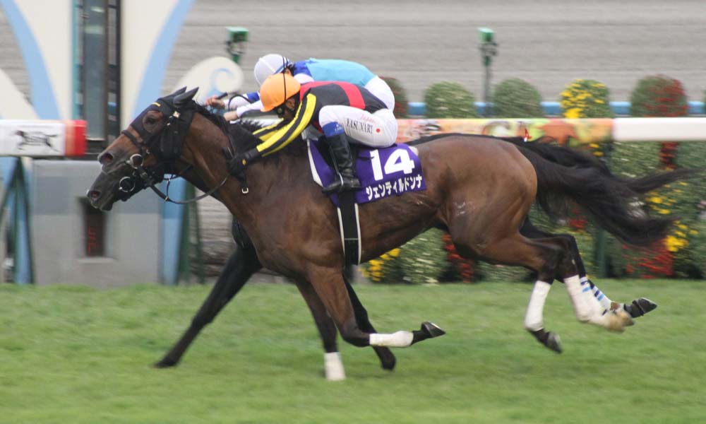 JRA】“貴婦人”ジェンティルドンナが繁殖牝馬を引退、功労馬として余生