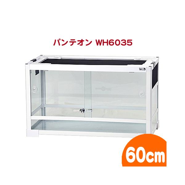 PANTHEON WHITE 6045 ガラスケース 飼育ケース 60cm