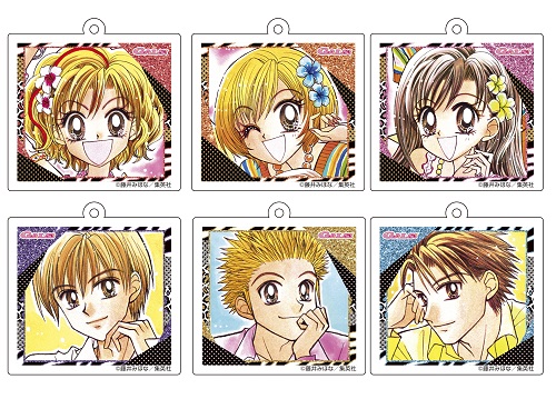 入手困難】 超GALS!寿蘭 ギャルズ コレクションバイブル 手帳 入手困難