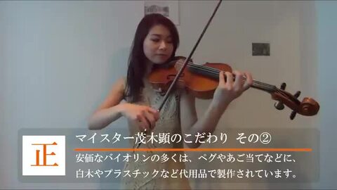 ニコロサンティ NSN50S バイオリン 4/4 弓、ケース、松脂、肩当付き