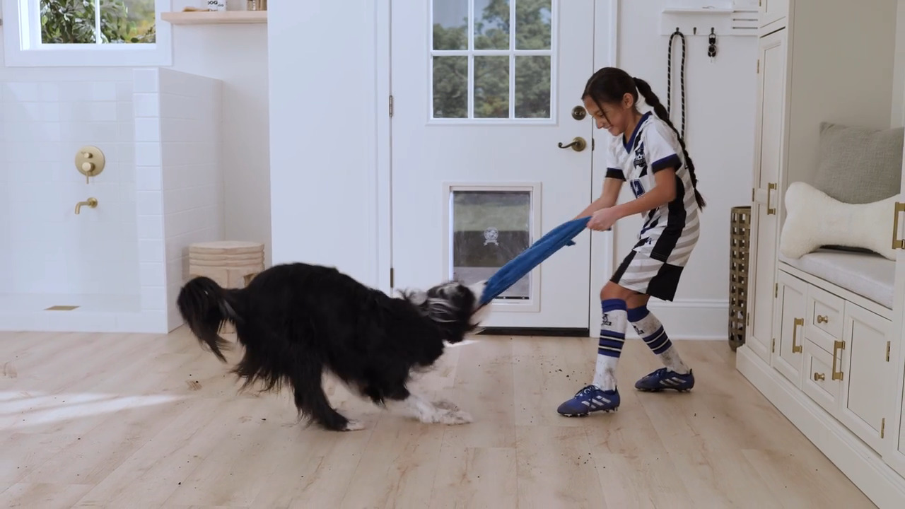 Lifeproof Take Home Sample - Moose Lake Chestnut Click Lock