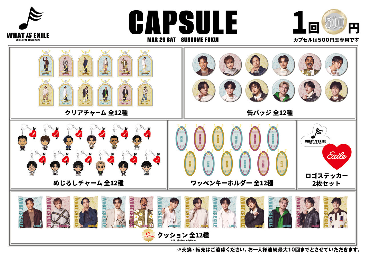 TETSUYA クッション レア WHAT IS EXILE 実写 会場限定 TETSUYA