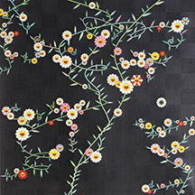 村上 隆 Takashi Murakami Murakami. Flower #0000 | ONLINE STORE