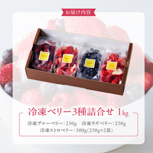 Aiページ ブルーベリーラズベリー2個 無添加 冷凍 ベリーミックス 500g