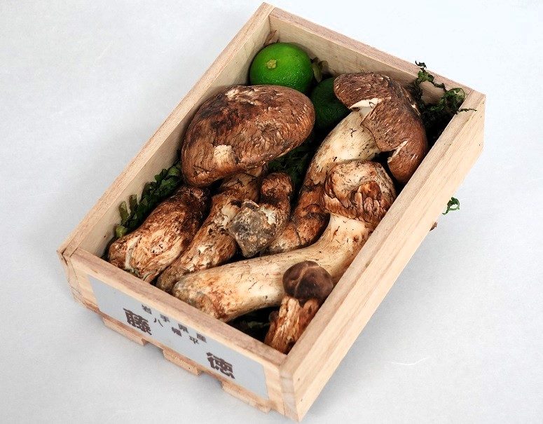 松茸 北海道 500g 送料込み 松茸 北海道 500g 送料込 ④ 楽天市場