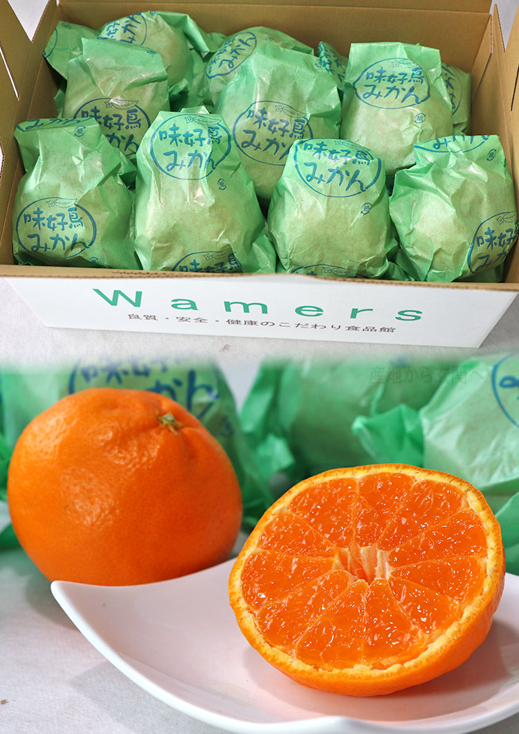 袋掛け完熟ミカン 約2.5kg L～3Lサイズ 長崎県産 贈答規格 JAながさき