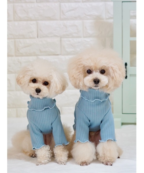 poteco】【再入荷】【新色追加】フリルリブプルオーバー/犬服(ドッグ