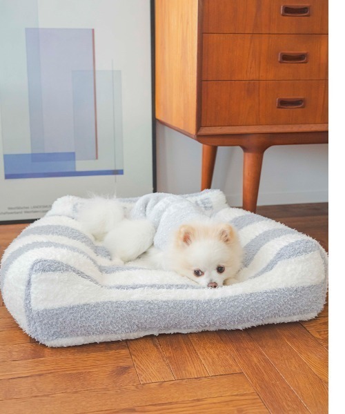 gelato pique（ジェラートピケ）の「【CAT&DOG】【販路限定商品