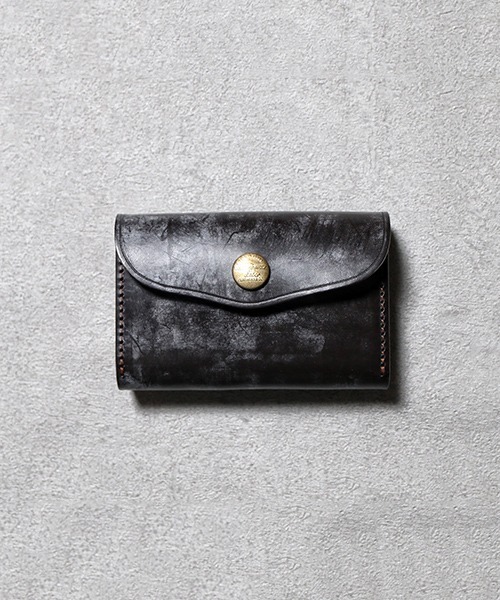 三本角クワガタ標本 S.E.アジア産