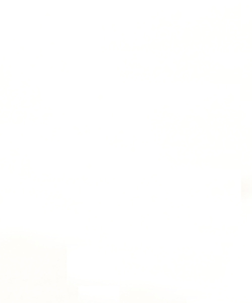 LIYOCAのチェスターコート 【公式通販】