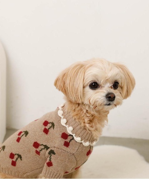 フリル襟チェリーニットトップス / 犬服 / ドッグウェア（ペットウェア