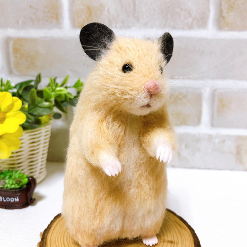 376 K 羊毛フェルト ハムスター 376 K 羊毛フェルト ハムスター 376 K 羊毛フェルト ハムスター 376 K