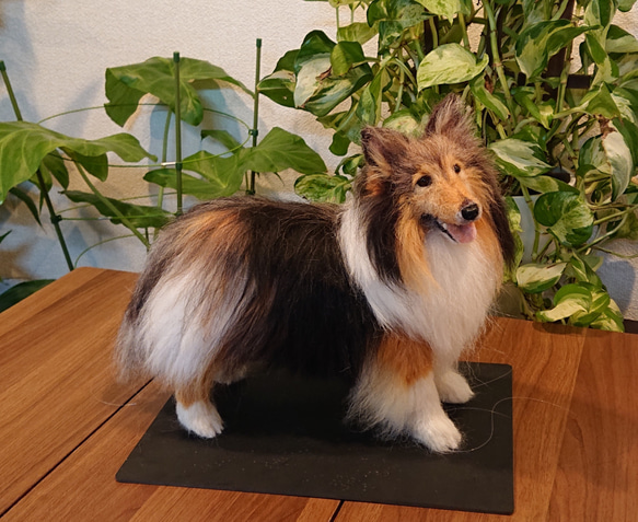 オーダー】羊毛フェルト 犬 猫 シェルティ ダックス ポメラニアン トイ