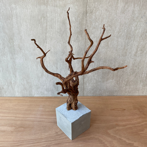 ➅【コンクリート盆栽 流木オブジェ】ディスプレイ アート