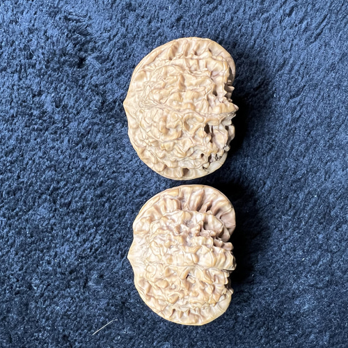 遊ぶ胡桃、「官帽」文玩核桃、クルミ核桃セット484137/47.1g その他