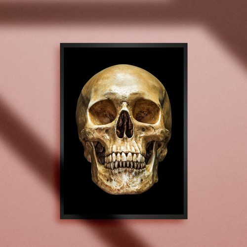 スカルヘッド スカル 骸骨 ドクロ ホラー ゴシック パンク ロック 悪魔