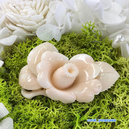 珊瑚彫刻の逸品 ブローチ 『椿』 金具難ありで大幅値下げ！ R50128H1