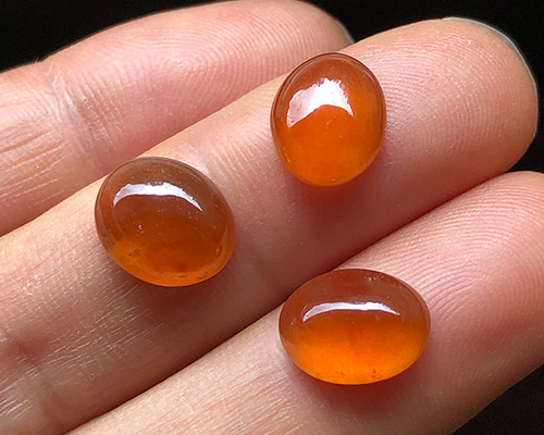 506f99a77549d24f8dd4e11295b169