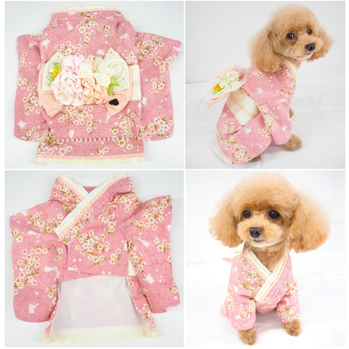 犬服 3S わんこの普段着 レトロな小鳥 ピンク 犬服 3S わんこの普段着