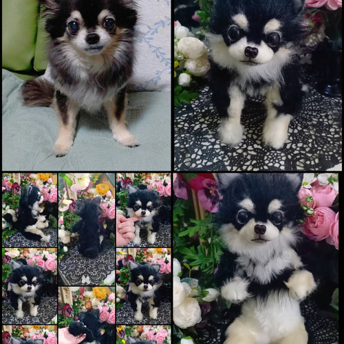 チワワ 実物大 リアル 分身 愛犬 ぬいぐるみ カズコオガワ ぬいぐるみ