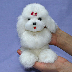 マルチーズ ぬいぐるみ のおすすめ人気通販 検索結果｜Creema(クリーマ