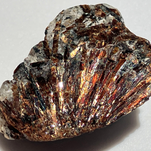 パワーストーンアストロフィライト星葉石原石天然石75gNo.170