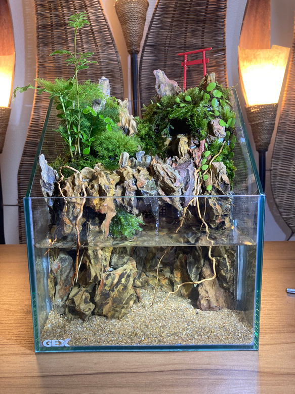 滝が流れるアクアテラリウム 受注生産】滝のあるアクアテラリウム