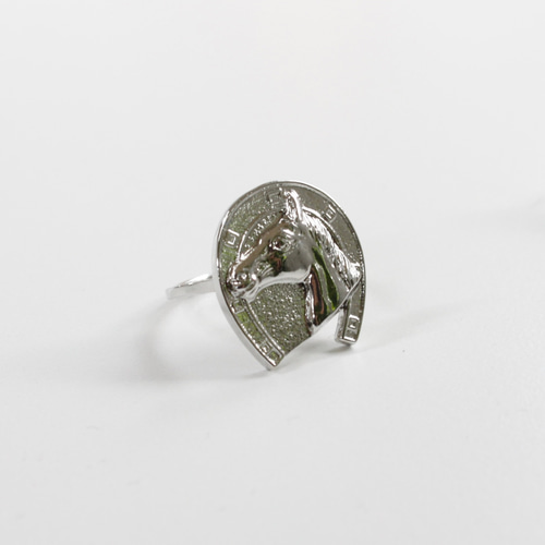 ホースシューリング 幸運モチーフ 馬蹄 ネックレス・ペンダント