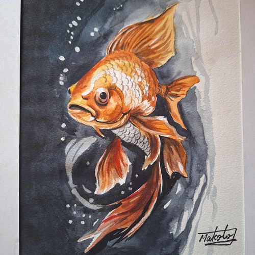 金魚 油絵 油彩画 20×20cm 絵画 / 画 / 鯉魚 / 鯉の絵 / 魚 / の手描き