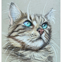 油絵 専用品 こちらを見つめるゆずちゃん 油絵 専用品 こちらを