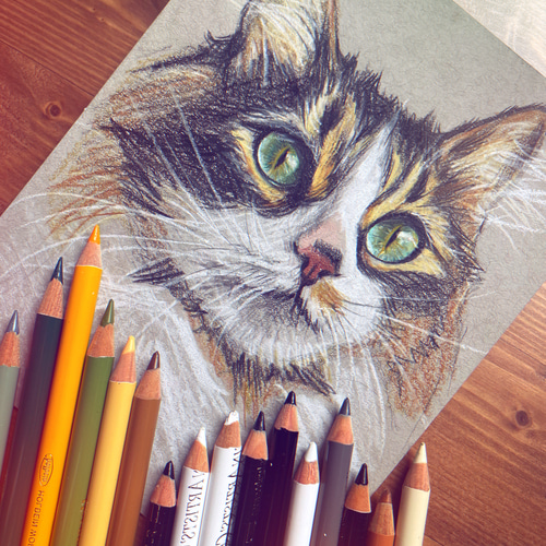 専用 色鉛筆画 絵画 原画 猫 ペット 似顔絵 オーダーページです ペット