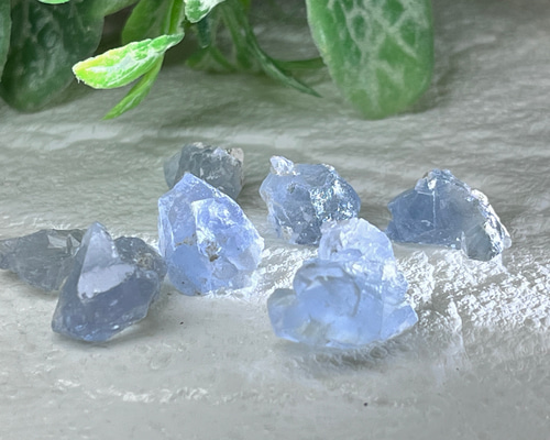 6c3510a5f676325657e1d45262e244