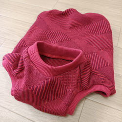 犬服 ♡MOA♡ ご確認 ロンパース ハンドメイド ハンドメイド犬服 XXS