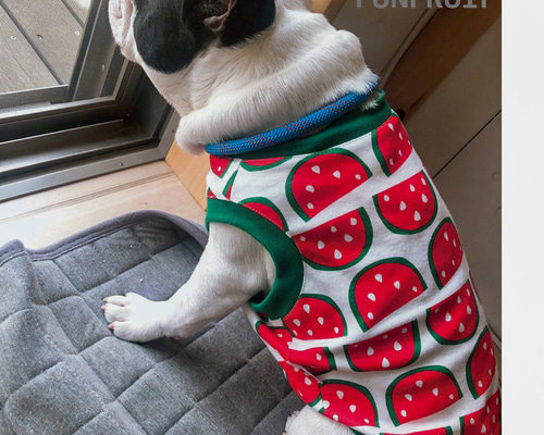 フレブル 用】スイカ柄Tシャツ（タンクトップ）フレンチブルドック 犬