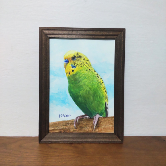 インコ 絵画 インコの似顔絵【水彩画/額付き】 絵画 chokotto* 通販