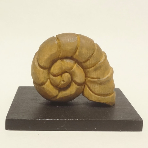 木彫刻 小さな置物 『 アンモナイトの夢 』 木彫り アンモナイト 化石