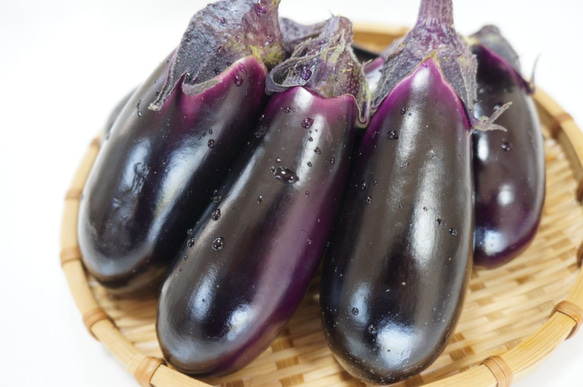 高知県産なすび 1.8kg（約20本前後） 野菜 kagayaki 通販 9965993