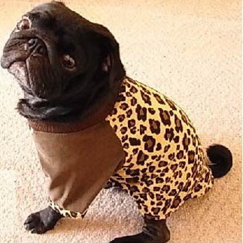 A4印刷型紙 犬服タンクトップ(S～LL/ハンドメイド/洋裁/ソーイング/T