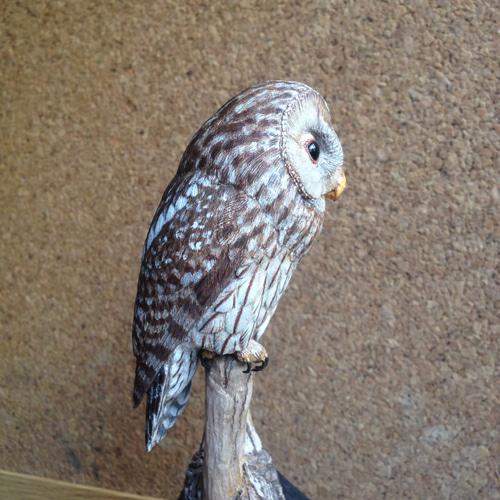 バードカービング【フクロウ】 彫刻 ありむら工房 通販 6405233