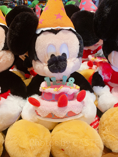 フラッフィープラッシー 11月18日 誕生日バースデー ディズニー