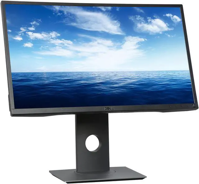 Dell Professional Series P2417H 24