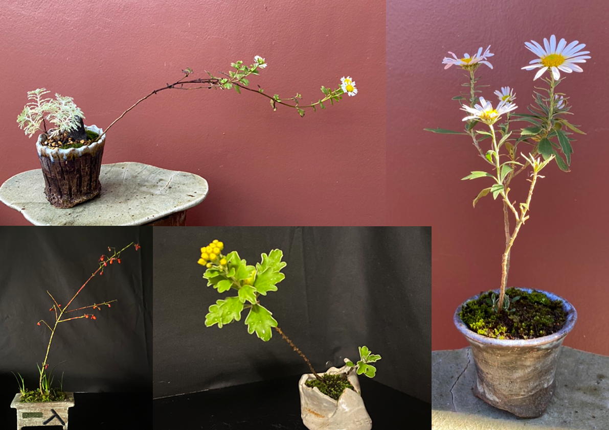 四方植木鉢 紫砂の鉢盆栽鉢 植木鉢 小品盆栽鉢 大品盆栽鉢 【公式通販】