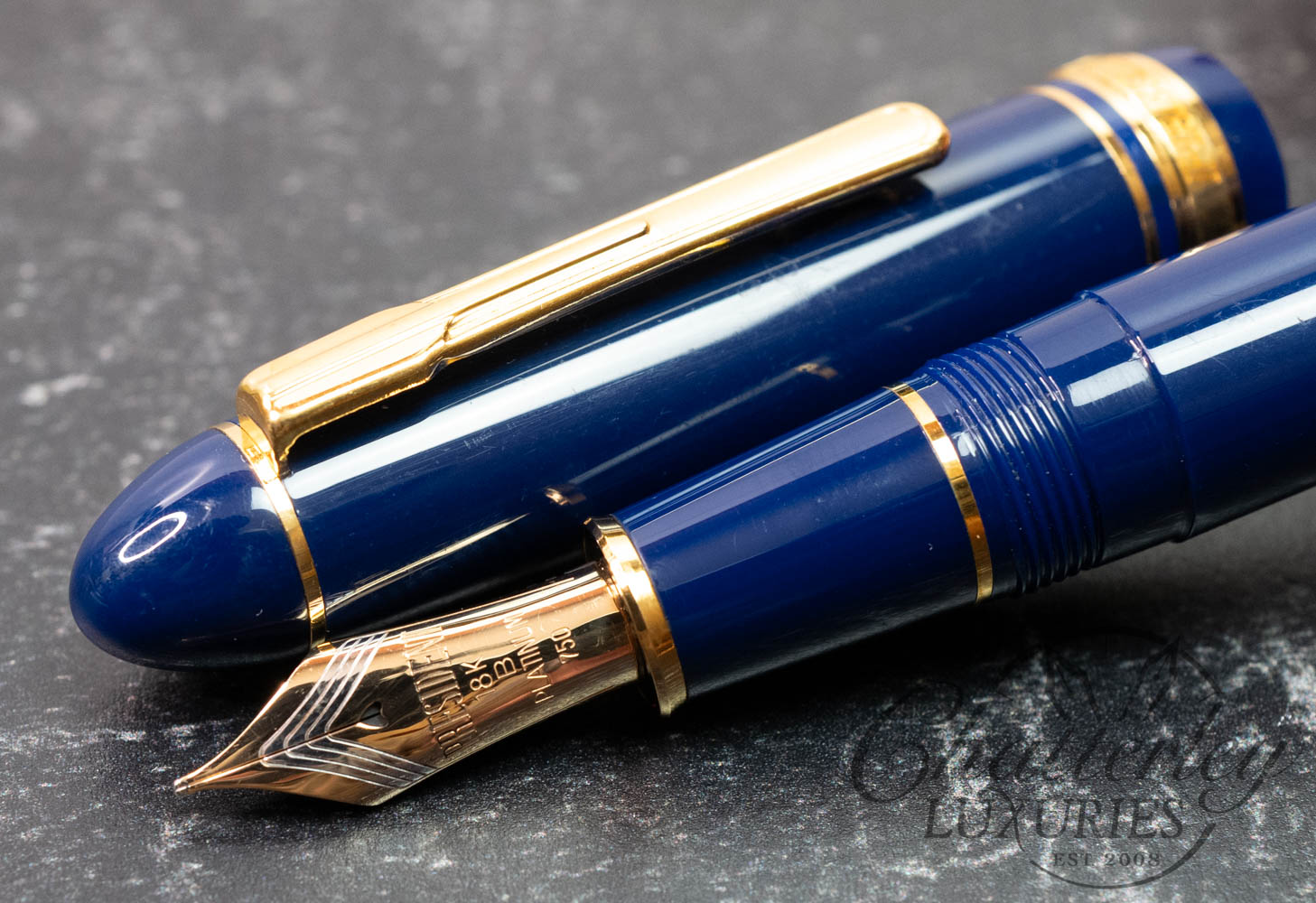 Platinum President Blue and Gold Fountain Pen - Chatterley
