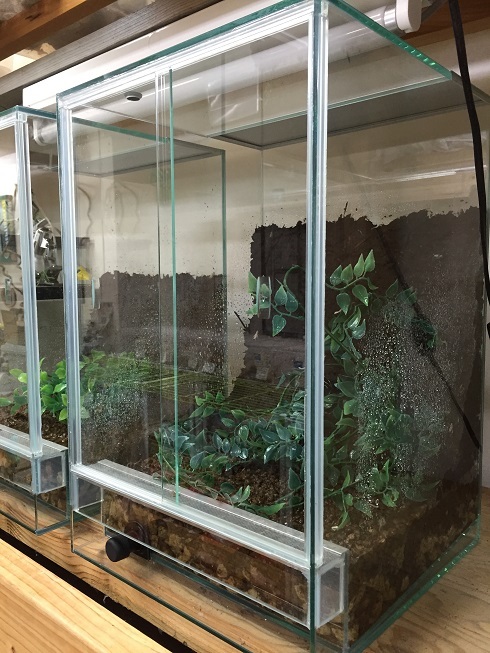 パルダリウムケージプロ 30x30x45