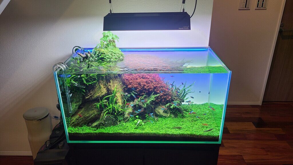 chihiros vivid2 RGBライト アクアリウム 水草