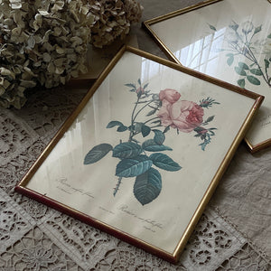 フランスアンティークフレーム素敵な オーバル 額 レア1900年 レース